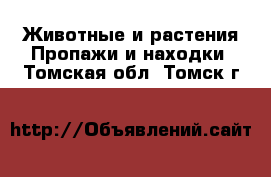 Животные и растения Пропажи и находки. Томская обл.,Томск г.